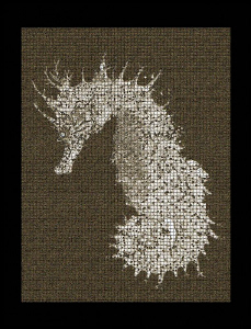 Seahorse photoshopped for a poster print. by Andy Kutsch 